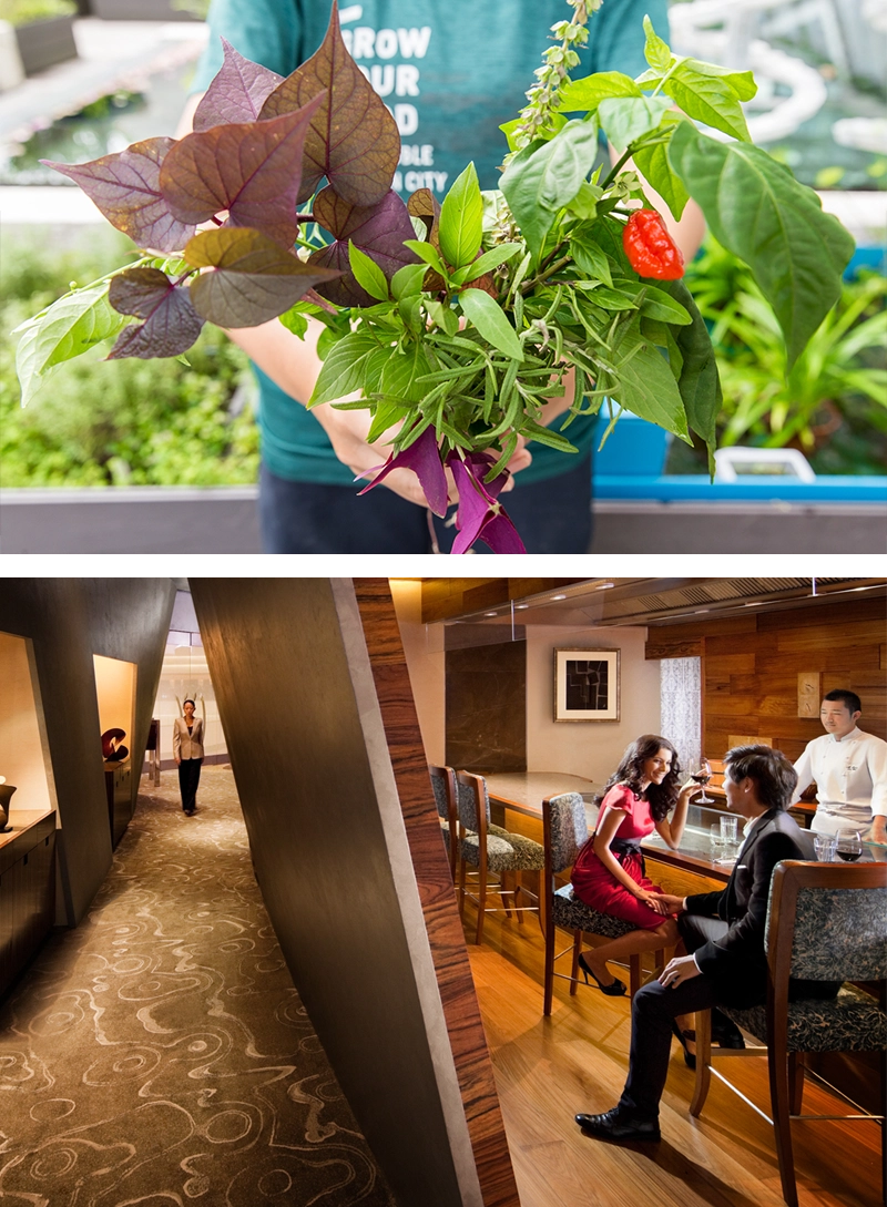 a collage of two images; people in a bar of a hotel, and a person holding plants