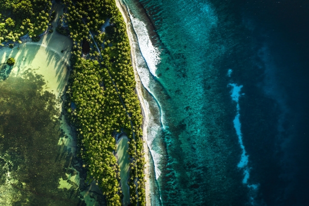 bird's eye view of a coastline