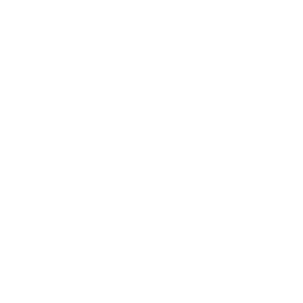 maximal concepts